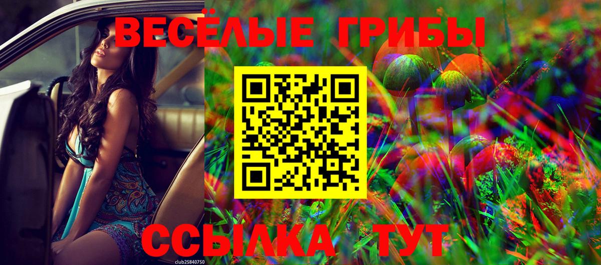 Галлюциногенные грибы MAGIC MUSHROOMS Дзержинск