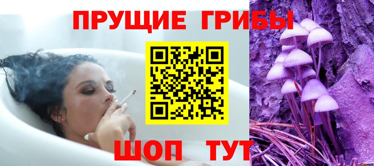 Дзержинск  Галлюциногенные грибы Psilocybine cubensis  наркотики  Вход с VPN  Галлюциногенные грибы GOLDEN TEACHER 